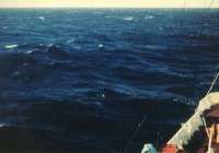 Beaufort number 6 - Strong breeze Beaufort number 6 - Strong breeze