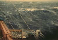 Beaufort number 8 - Fresh gale Beaufort number 8 - Fresh gale