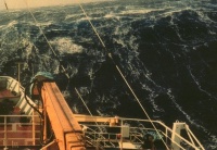 Beaufort number 9 - Strong gale Beaufort number 9 - Strong gale
