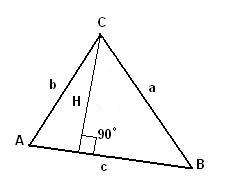 bissect.JPG bissect.JPG