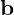 \mathbf {b}
