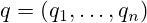 q=(q_{1},\dots,q_{n})