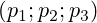(p_1;p_2;p_3)