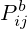 P^b_{ij}